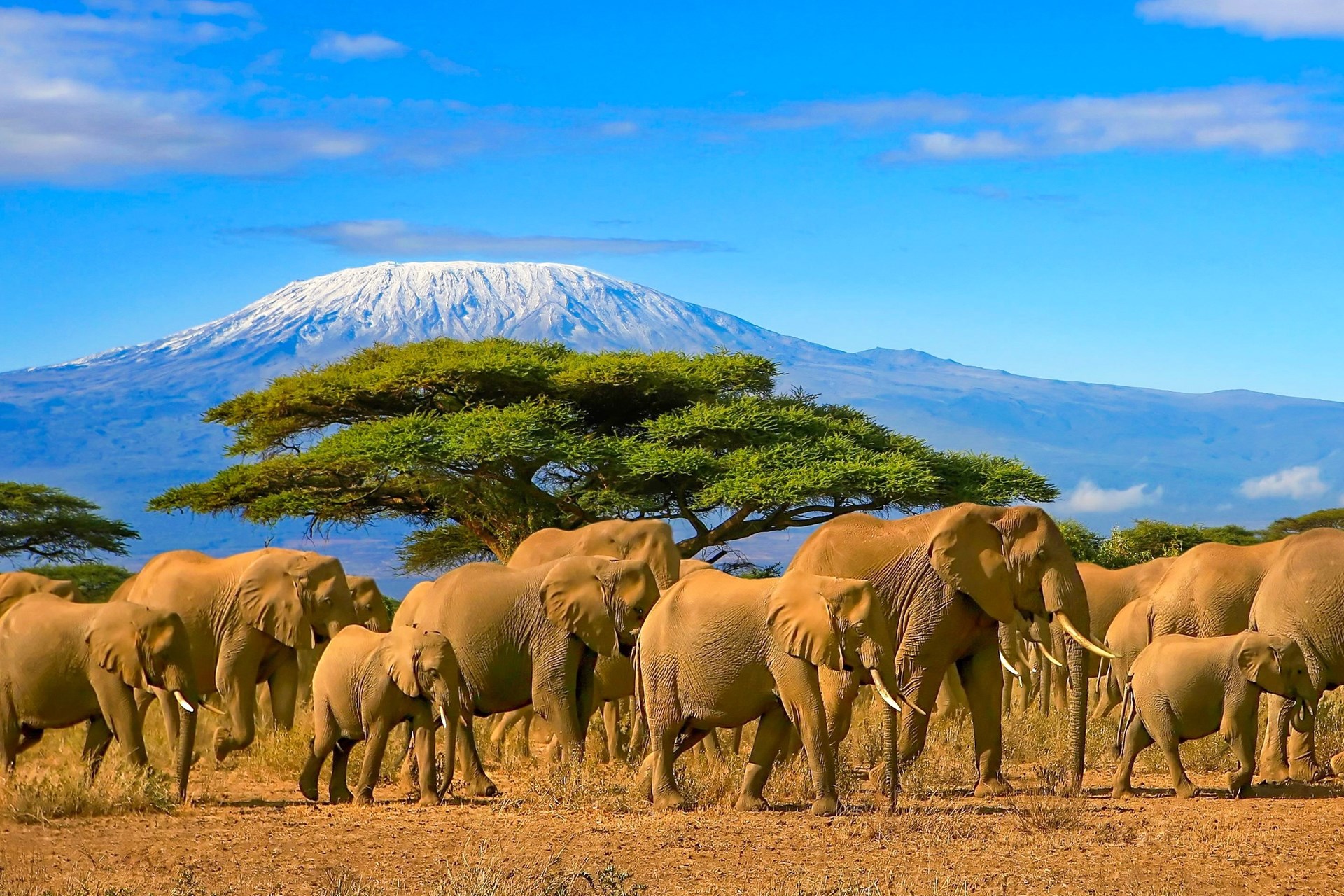 Kenya