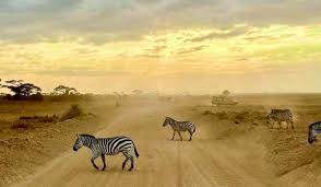 Kenya