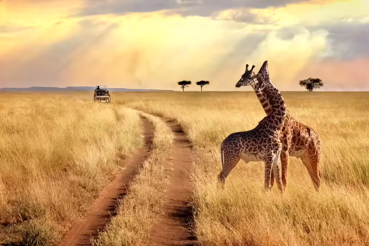 Kenya